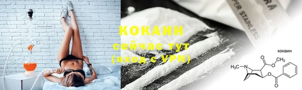 прущие грибы Магас
