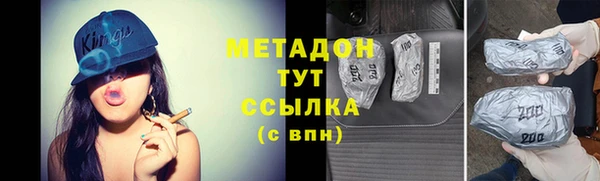 прущие грибы Магас