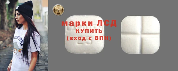 прущие грибы Магас