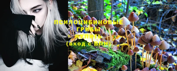 ешки Алзамай