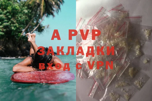 прущие грибы Магас
