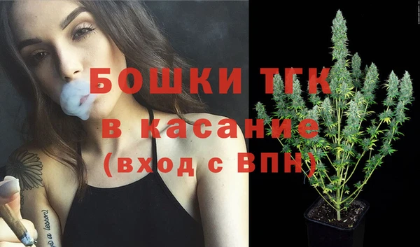 прущие грибы Магас