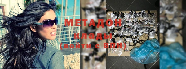 прущие грибы Магас