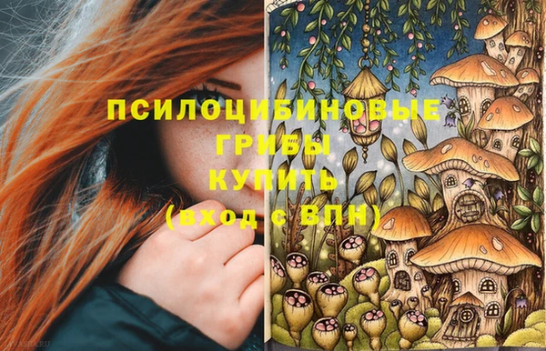 стафф Магадан