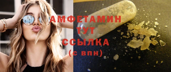 прущие грибы Магас