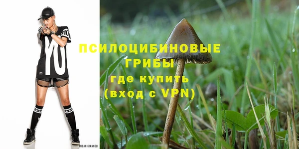 стафф Магадан