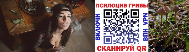Псилоцибиновые грибы мухоморы blacksprut сайт Щигры где продают наркотики